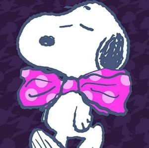 Meet your Posher, Ayleen